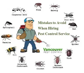  7 مكافحة الحشرات وتنظيف المباني Cleaning’s & Pest Control Services