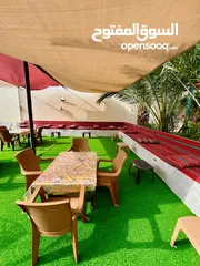  3 مزارع وا شليهات لليجار