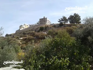  5 قطع اراضي مميزة مطلة غرب عمان
