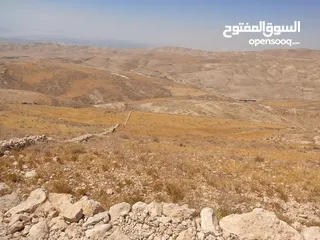  13 مادبا ماعين قطعة أرض زراعية مميزة مطلة على البحر الميت والضفة الغربية بمساحة 21 دونم
