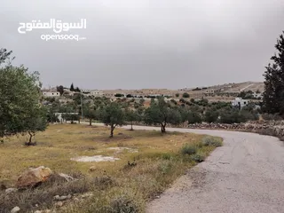  9 فرصه للشراء ارض مشجره جاهزه داخل التنظيم ومخدومه شارع معبد خدمات كامله ومطله