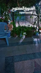  4 بيت للبيع بسعر مناسب