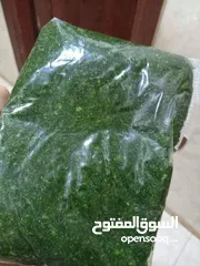  4 ملوخيه فرم يدوي طازه كفاله زبون ما عجبتك رجعها اهم اشي رضا الزبون وليس الفلوس وهيك