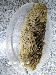  2 عسل سدر قبل لي اتفاوض