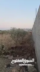  1 (2 دونم) أراضي للبيع
