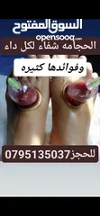  15 دحدح وجبنه غنم وملوخيه وورق عنب بلدي ومقدوس ودبس عنب ودبس خروب ورمان وعسل ومعمول وشوكلاته وزيتو وزيت