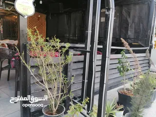  18 مقهى للبيع في اربد