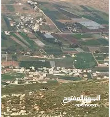  1 بيع ارض بالنصاريه جيدة وممتازه وقابله للزراعه والسكن