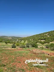  1 راس منيف 2 دونم راس منيف قوشان مستقل  عاليه و كاشفه  من مالك مباشره قريبه من جميع الخدمات راقيه