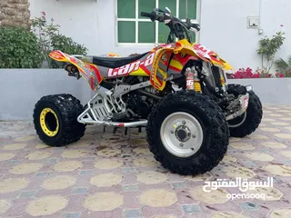  6 Can-am 450 ds (mx)