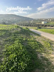  3 ارض للبيع جرش عنيبه بقوشان مستقل 3500متر مفروزه بقوشان مستقل اطلاله مميزه جدا جدا