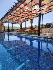  1 مزرعة وشاليه الغزال / الاردن - عمان - بيرين - صروت