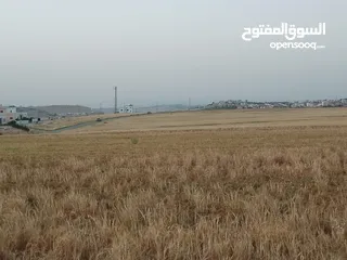  4 مادبا ماعين المشرفة قطعة ارض زراعية مميزة واصل الخدمات ذات اطلالة على البحر الميت واصل الخدمات
