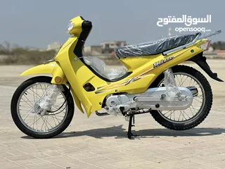  10 MISNO 110 CC