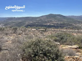  3 ارض مميزة جدا للبيع في أجمل مناطق بني زيد