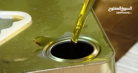  1 زيت زيتون بلدي للبيع