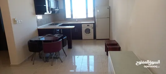  3 2 BHK FULLY FURNISHED FLAT IN SEEF AREA