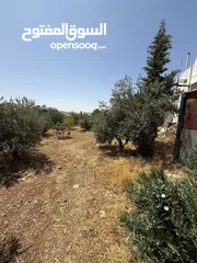  1 مزرعة للبيع