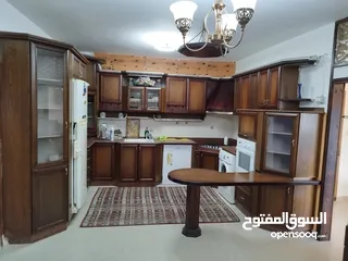  1 شقه مفروشه في عين منجد