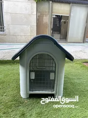  1 بيت كلاب dog house