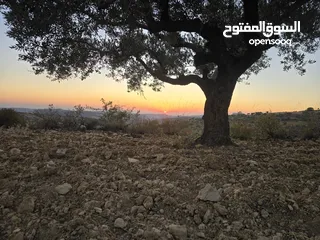  2 ارض قمه جبل اطلاله مميزه 500 متر
