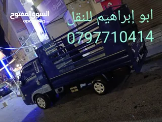  2 بكم للنقل داخل وخارج عمان وجميع المحافظات لنقل الاثاث والبضائع وجميع ما يلزم نقله خدمه 24 ساعه