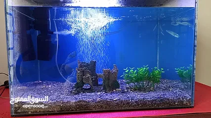  1 Fish tank with all accessories table and fish