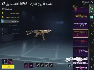  5 حساب ببجي عالمييه