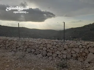  8 1800 م طابو تصنيف A خرسه