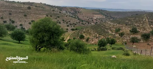 7 الكمشه حوض المكمان 3405 م على شارعين اطلاله شماليه غربيه رائعه مستصلحه ومسوره قرب الخدمات