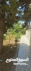  3 فيلا طابقين وروف