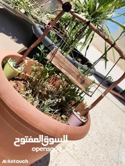  2 ارجوحة خشبية