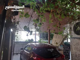  15 شقه مميزه للبيع