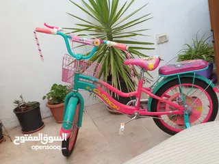  5 بسكليت جميل