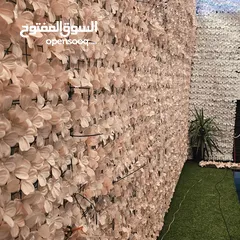  10 شالية للأيجار يومي في اجمل مناطق شارع المطار 3دقائق