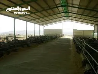  1 مخازن مساحه 500 متر ويوجد ساحه بالخارج واسعه ويوجد أيضا مساحه 2000متر مربع مسكره لتخزين ان طلب الامر