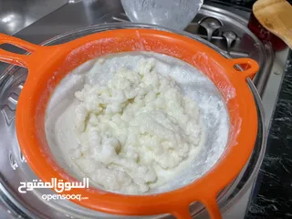  2 للبيع فطر هندي طازج ( كيفر / كفير )  Fresh Kefir grains for sale