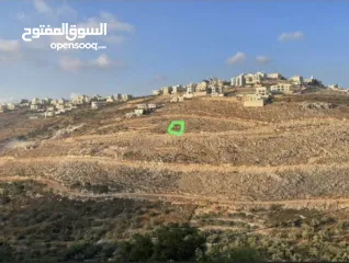  5 ارض للبيع نابلس الجديدة