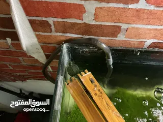  7 حوض سمك كبير + فلتر خارجي + طاوله من الزجاج