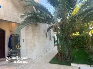  10 Luxurious Furnished Villa For Rent In Al Rabia