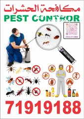  1 شركة بقعة الخضراء لخدمات مكافحة الحشرات  مكافحة الرمة مكافحة الصراصير .الفار ، بق فراش Pest Control