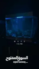  3 حوض سمك مع اضائه داخليه  وجميع مستلزماتو الداخليه