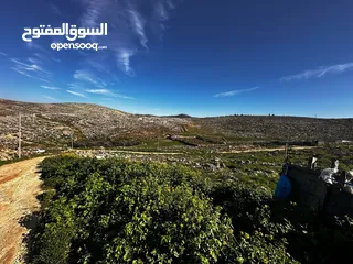  2 أرض للبيع -نابلس - روجيب مساحتها 600 متر