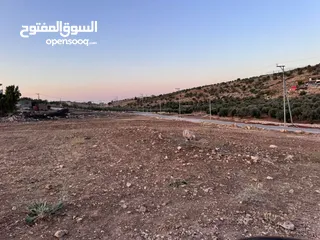  2 ارض للبيع مساحه 6 دونم و 400 متر النعيمه مستصلحه واصل كهرباء على شارع معبد 10 متر وقريبه من الخدمات