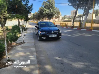  15 سكودا اوكتافيا 2013