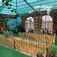  5 حديد وساندويش بانل للبيع وتركيب اقفاص وغرف واسقف steel and room and cage for sale