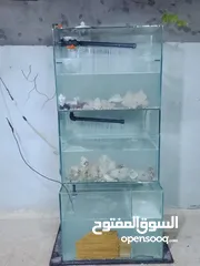  9 حوض سمك مع كامل معدادو