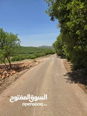  14 مزرعه 2 دونم مزروعه موقع مميز جدا  من مالك مباشر