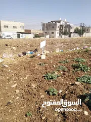  5 ارض للبيع اربد / الحصن بالقرب من مسجد العز بن عبد السلام