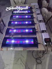  2 انارة ZetLight ماڤن 1 للبيع